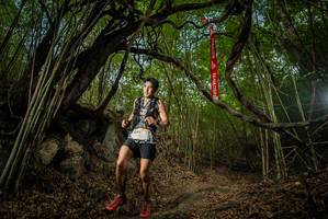 BIB: 
                            <button type="button" onclick="openModal(22177414)" class="btn btn-primary btn-sm float-right btn-popup" data-toggle="modal" data-target=".modal-high-quality">
                        <i class="fas fa-shopping-cart"></i> Add to Cart
                    </button>
                                            <button type="button" onclick="isThisMe(22177414, true)" class="btn btn-success btn-sm float-right btn-popup btn-isme hidden" data-toggle="tooltip" data-placement="bottom" title="นี่คือรูปของคุณใช่ไหม คลิกที่นี่เพื่อเอาเข้าอัลบั้ม">
                        <i class="fas fa-plus"></i> Add to album
                    </button>
                    <button type="button" onclick="isThisMe(22177414, false)" class="btn btn-warning btn-sm float-right btn-popup btn-isnotme hidden">
                        <i class="fas fa-ban"></i> Remove from album
                    </button>